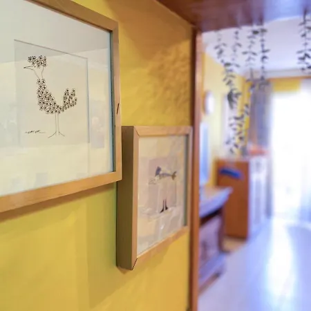 Vacacional Paradise * Arona (Tenerife)