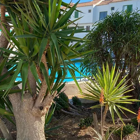 Vacacional Paradise Apartmán Arona (Tenerife)