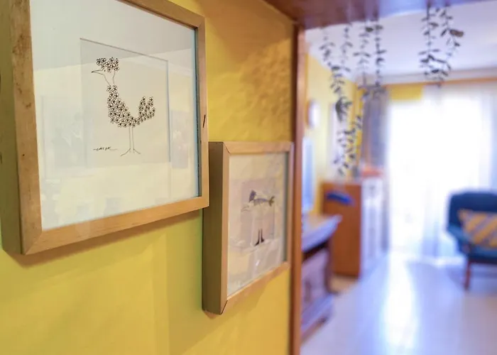 Vacacional Paradise * Arona (Tenerife)