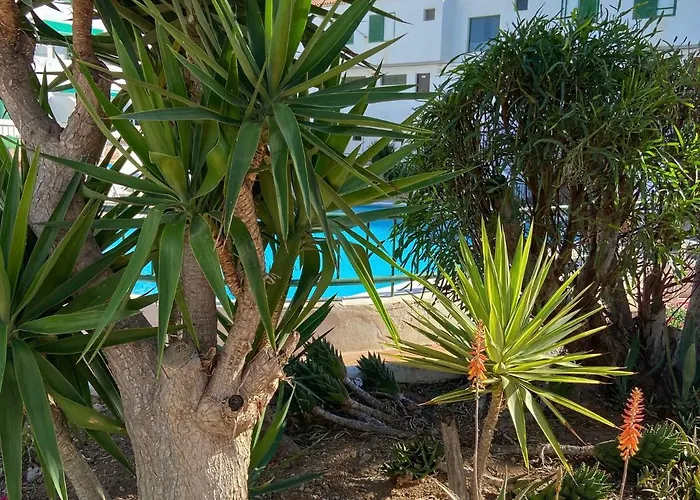 Vacacional Paradise Apartament Arona (Tenerife)